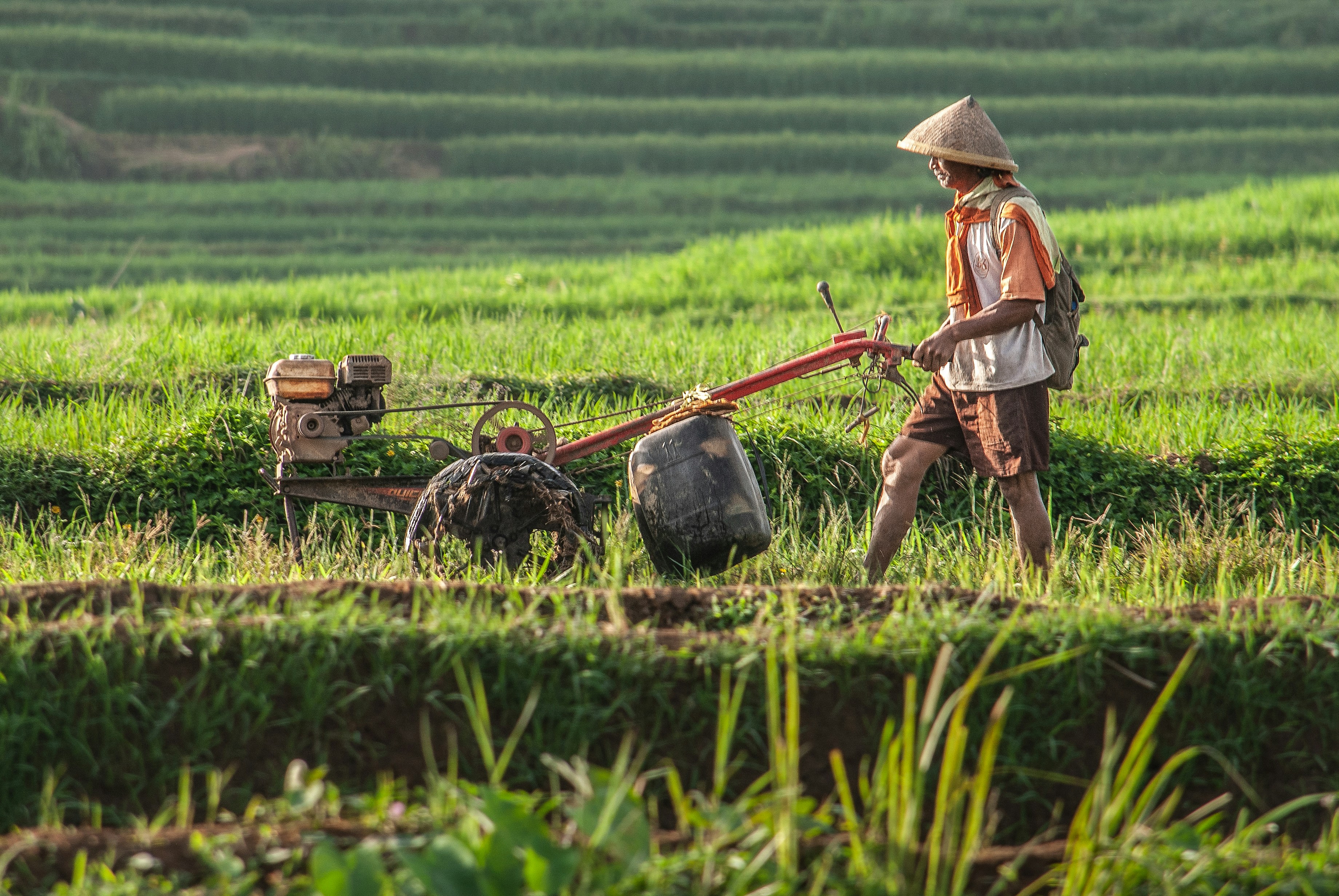 Farmer planting